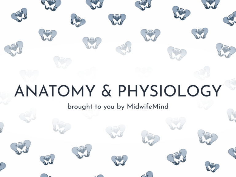 Anatomy & Physiology